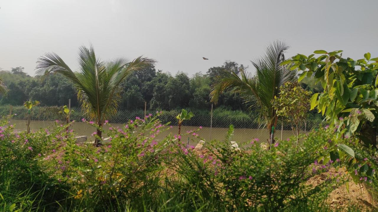 Homestay Dat Viet Cat Tien Buitenkant foto