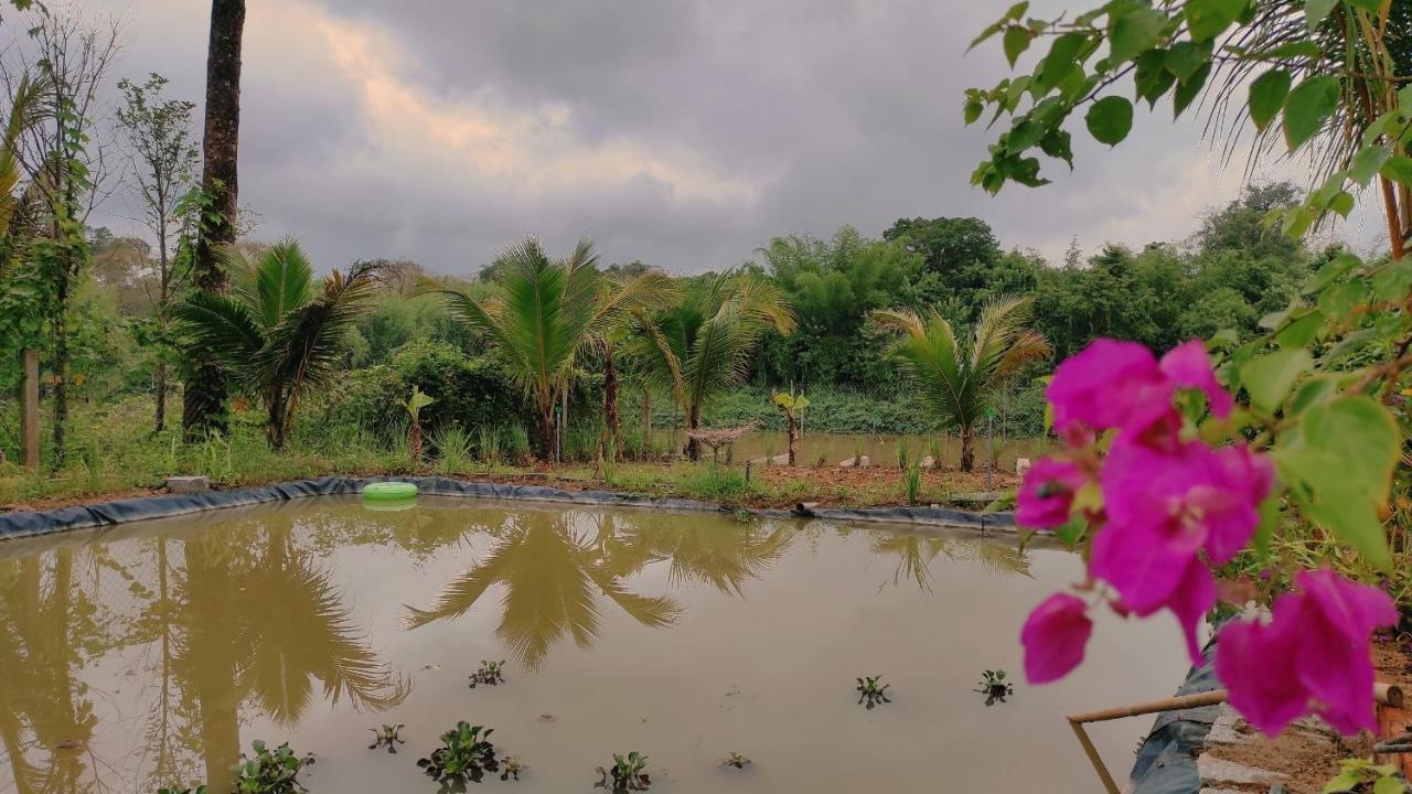 Homestay Dat Viet Cat Tien Buitenkant foto