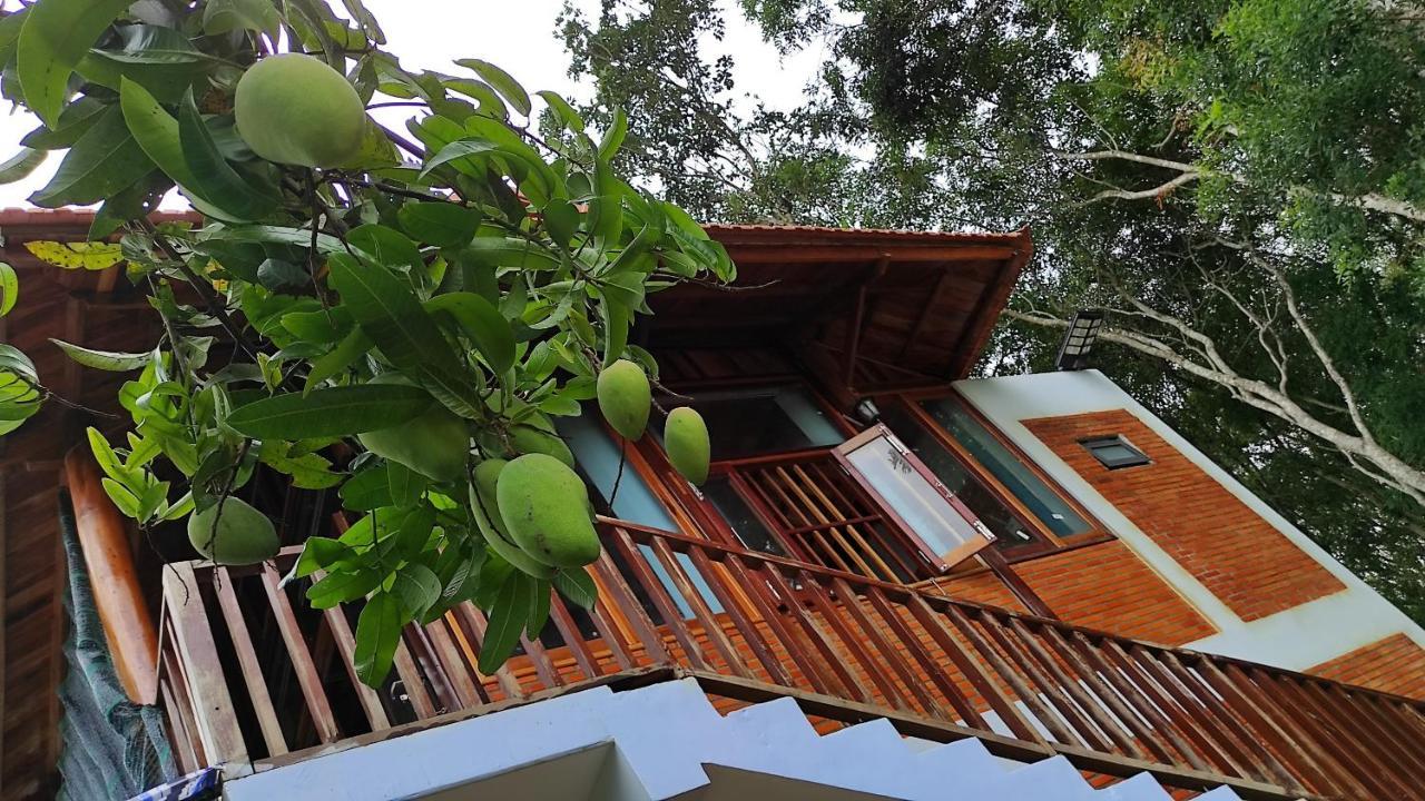 Homestay Dat Viet Cat Tien Buitenkant foto